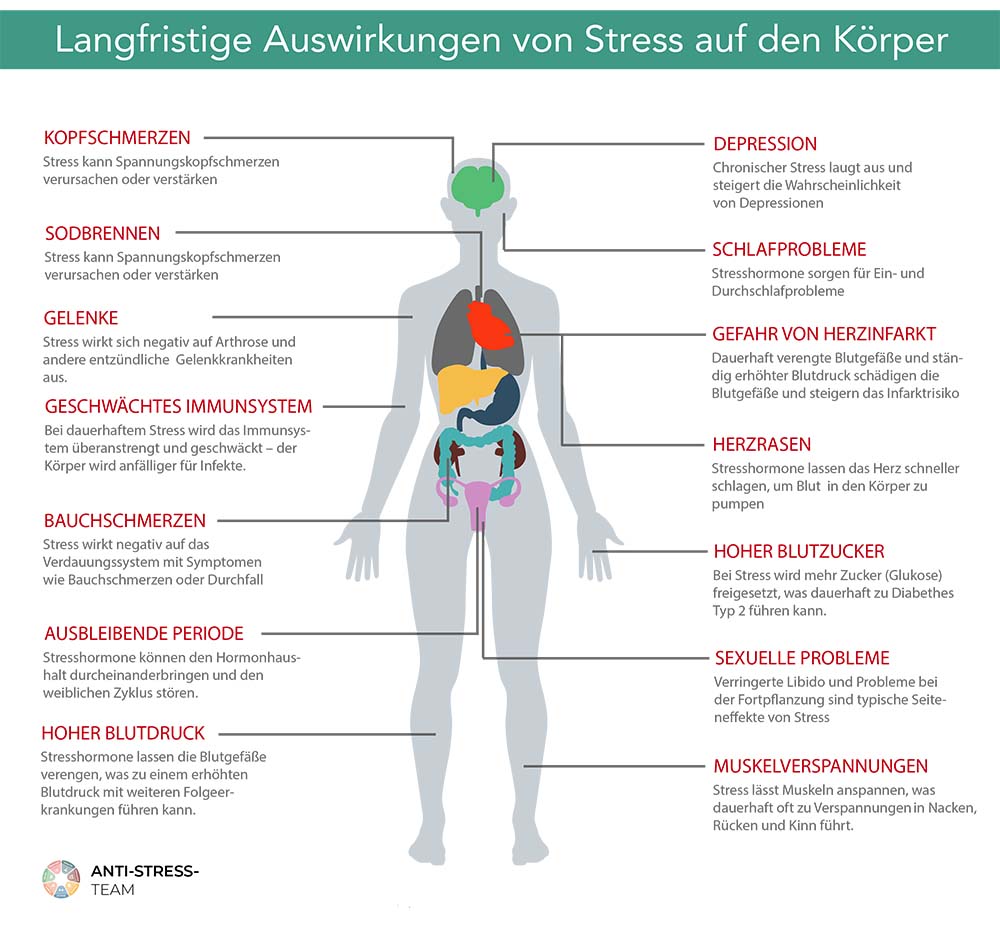 Langfristige Auswirkungen von Stress auf den Körper