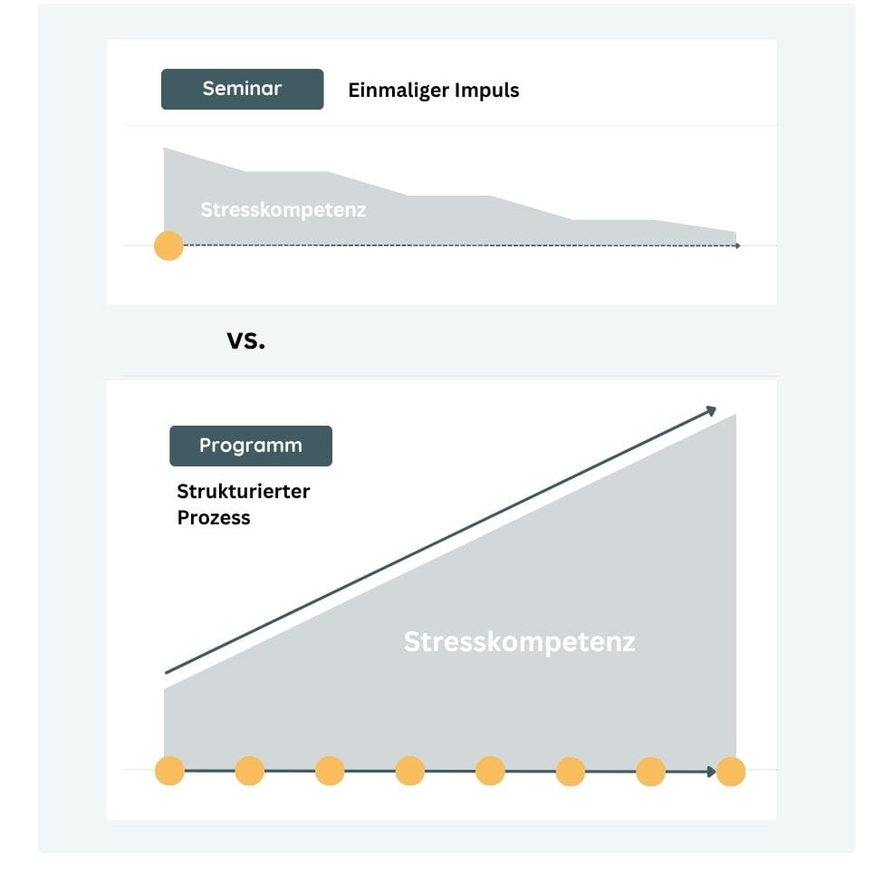 Anti-Stress-Maßnahme: Seminar vs. Programm